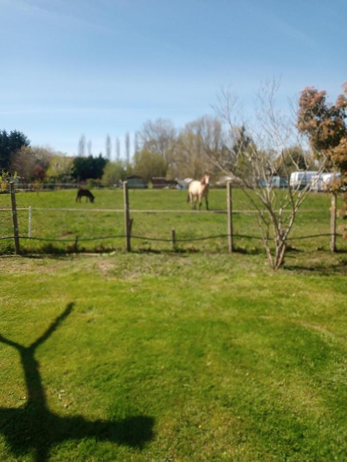 Mon Petit Coin De Paradis Puyoo Dış mekan fotoğraf